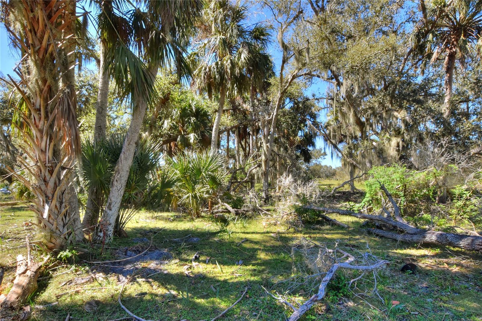 46891 Farabee Rd Property Photo 11