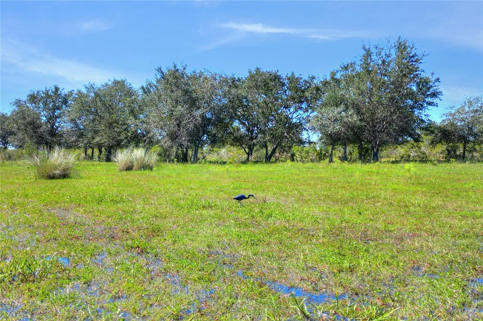 46891 Farabee Rd Property Photo 14