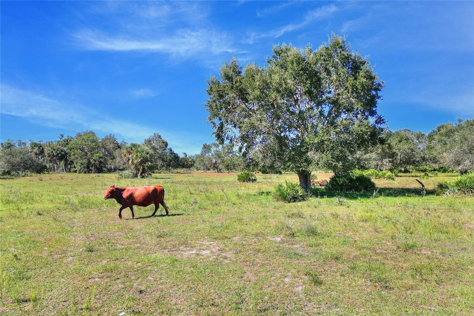46891 Farabee Rd Property Photo 16
