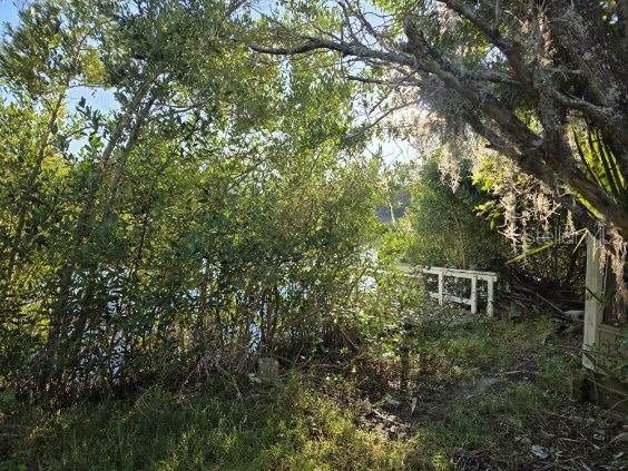 18909 Aripeka Rd Property Photo 5