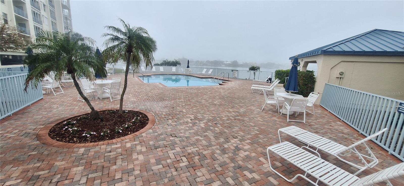 7907 Sailboat Key Blvd S #205 Property Photo 6
