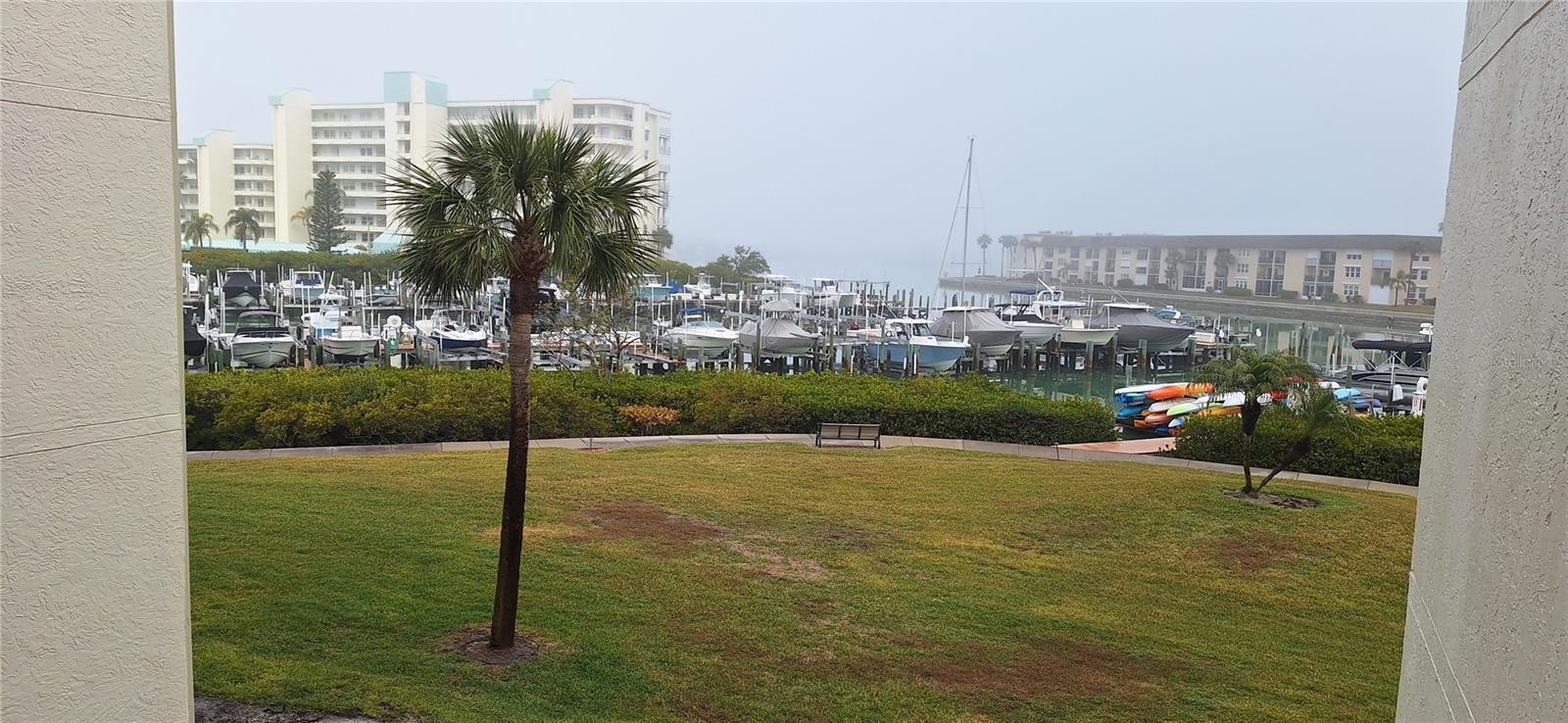 7907 Sailboat Key Blvd S #205 Property Photo 43