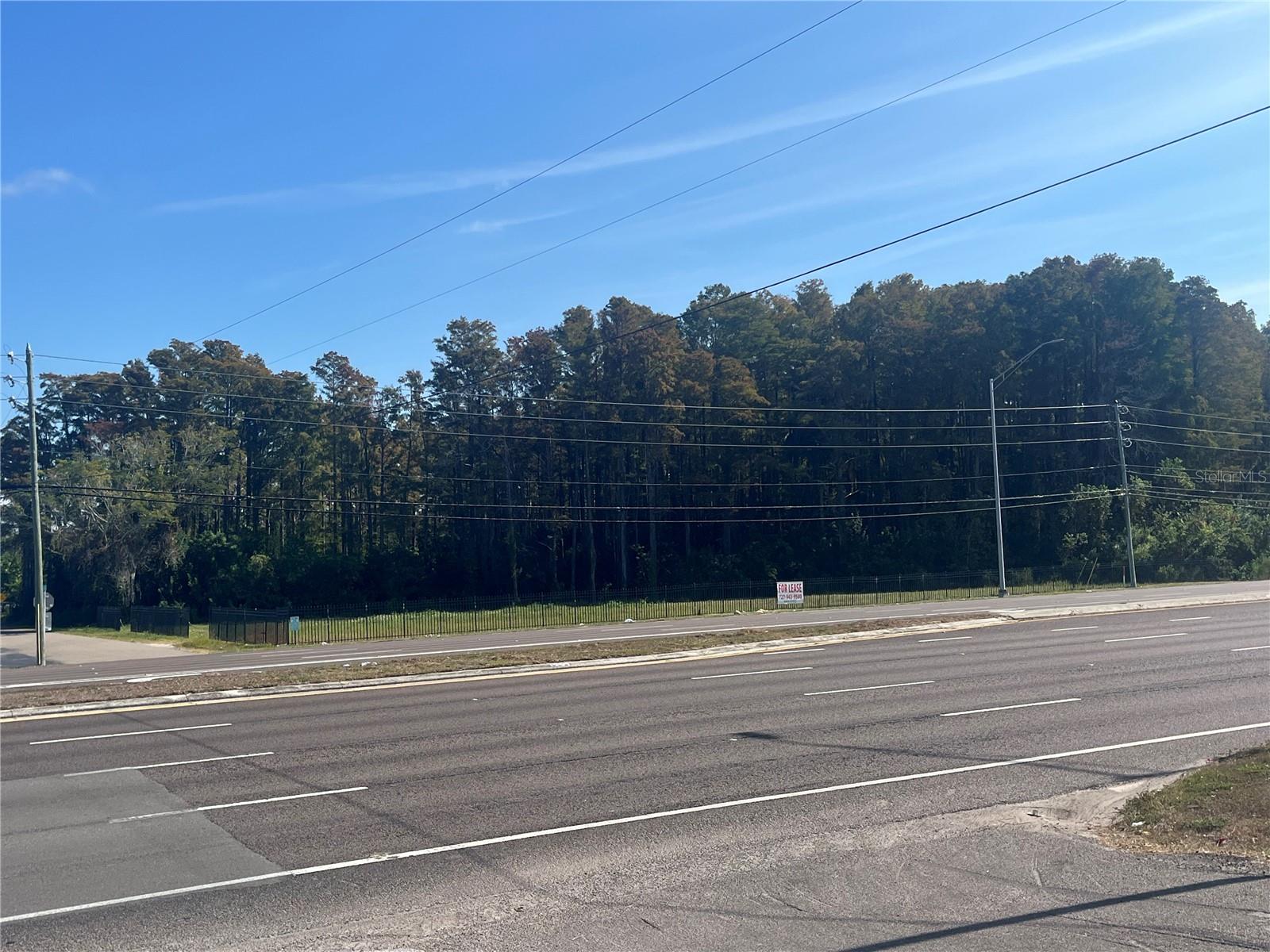 0 Us Highway 19 N Property Photo 1