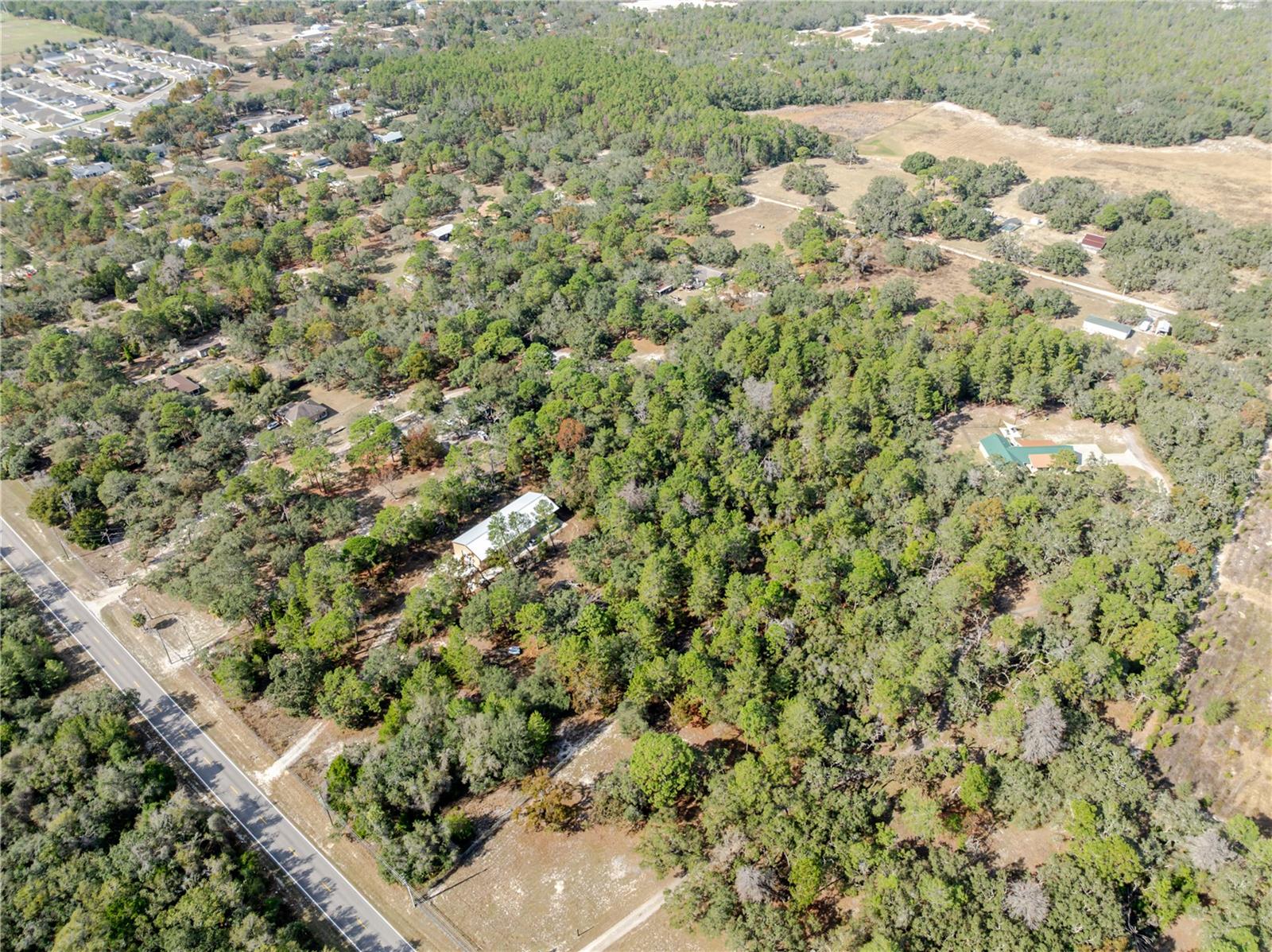 12301 Denton Ave Property Photo 15
