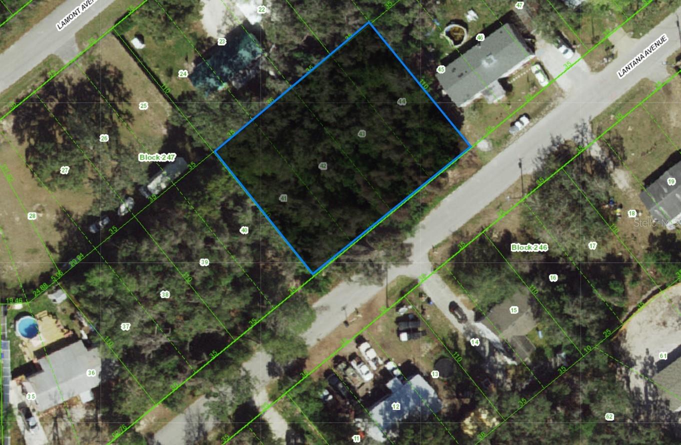 0 LANTANA AVE Property Photo 1