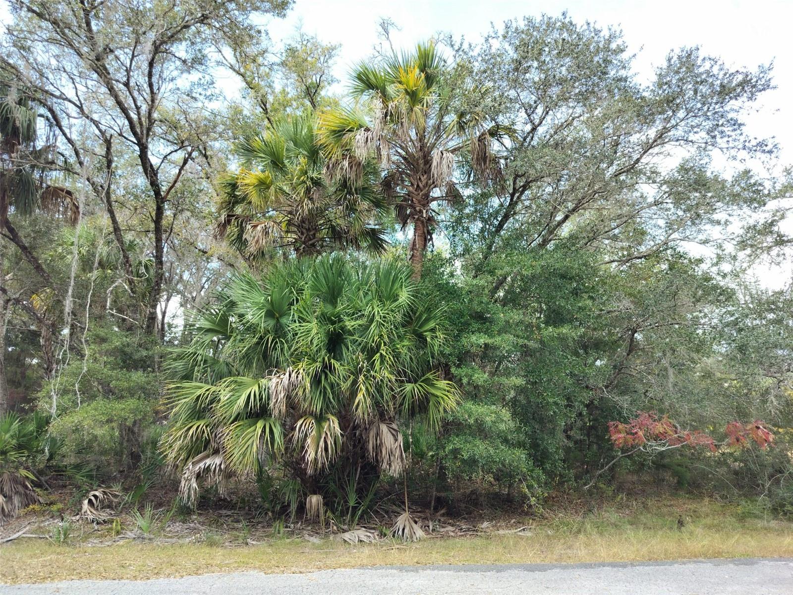 9999 N Snowball Pt Property Photo 1