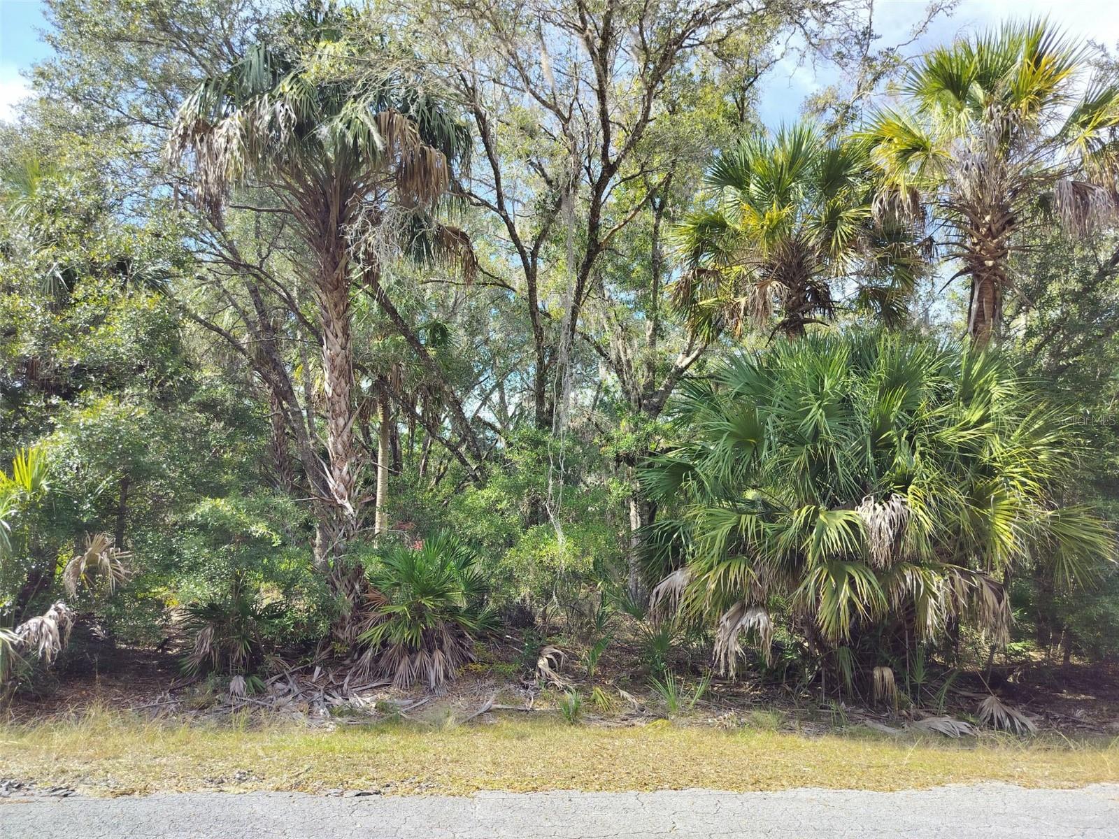 9999 N Snowball Pt Property Photo 2