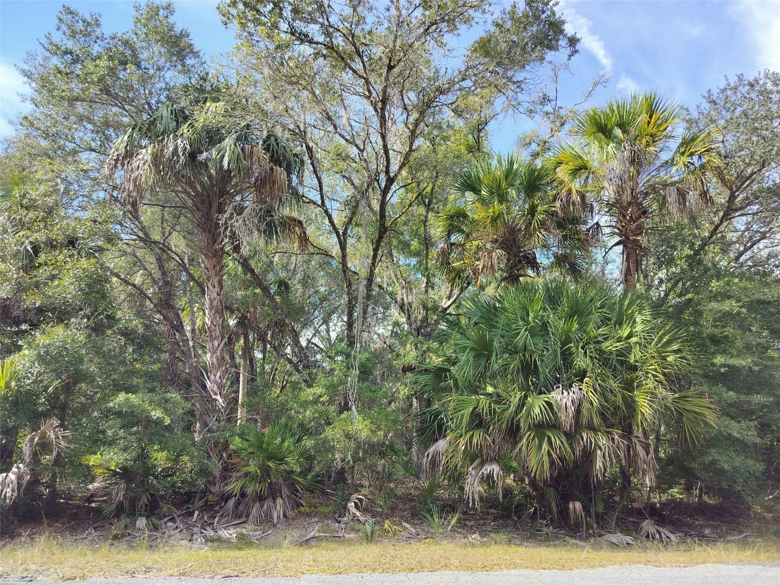 9999 N Snowball Pt Property Photo 13