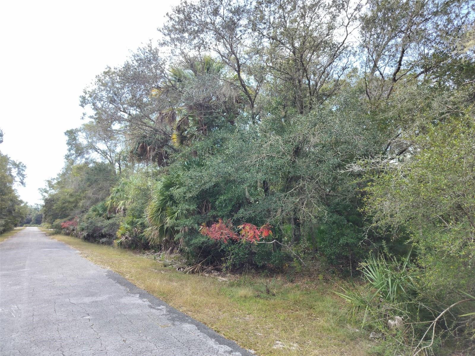 9999 N Snowball Pt Property Photo 14