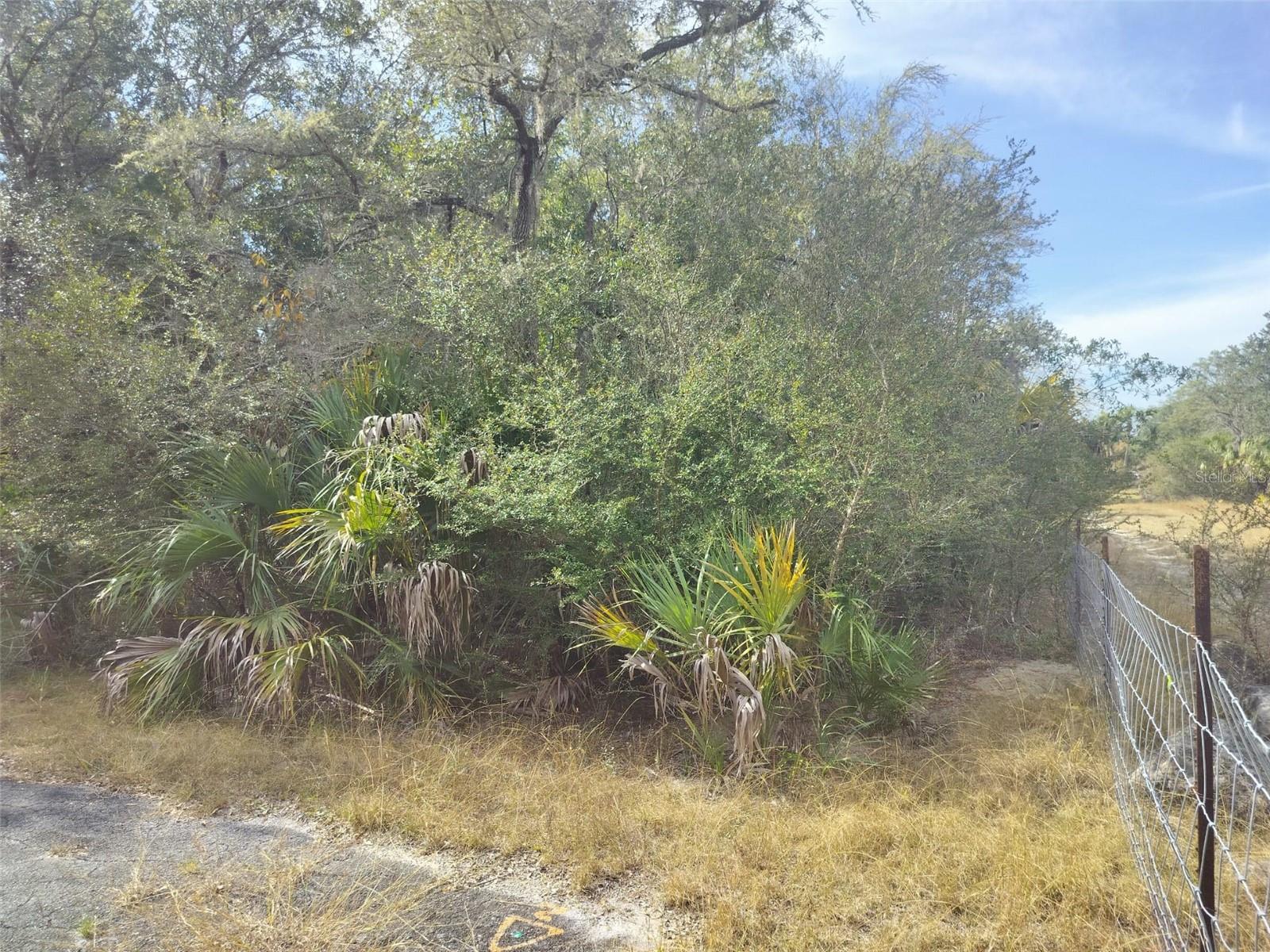 9999 N Snowball Pt Property Photo 15