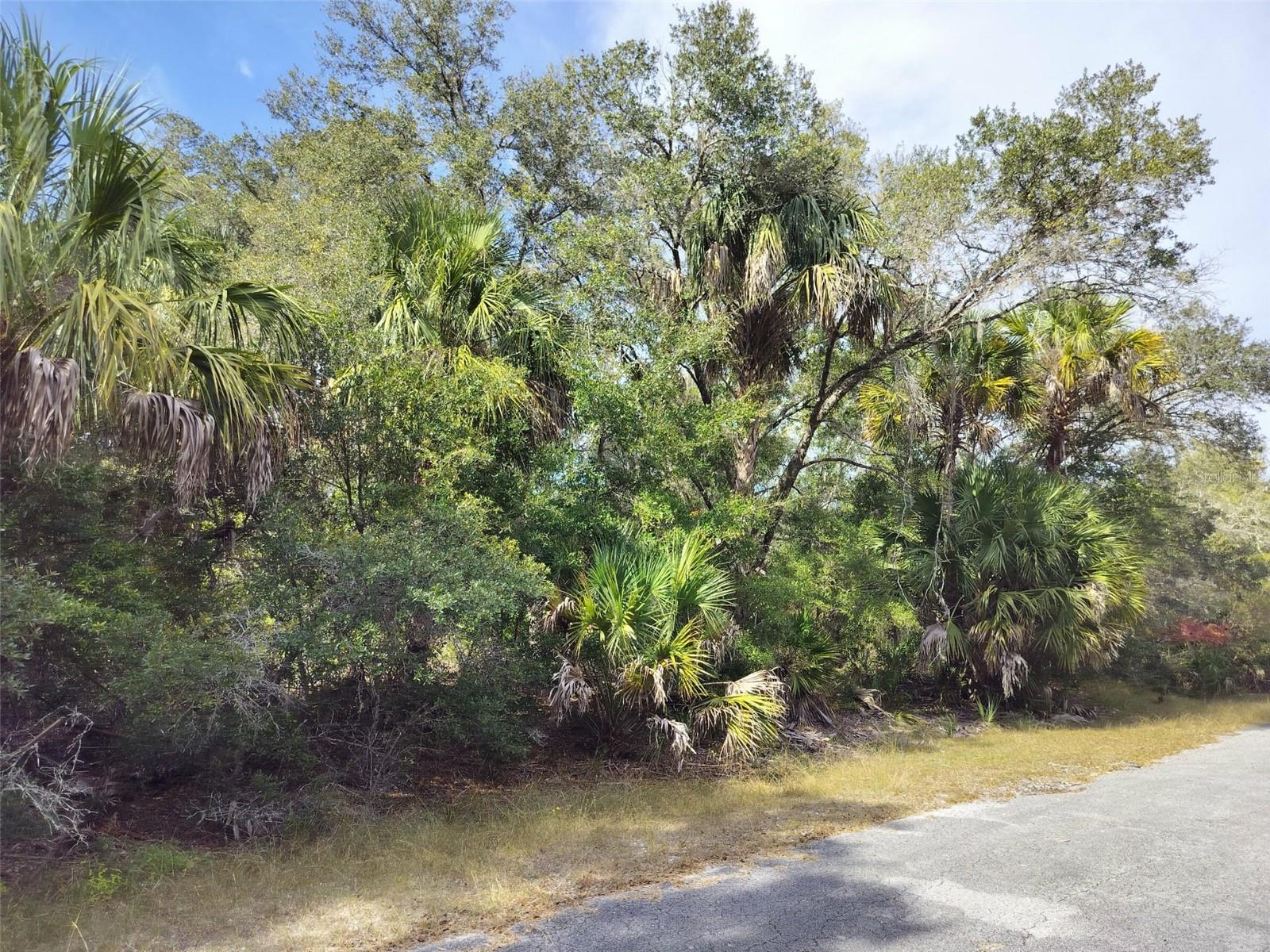 9999 N Snowball Pt Property Photo 16
