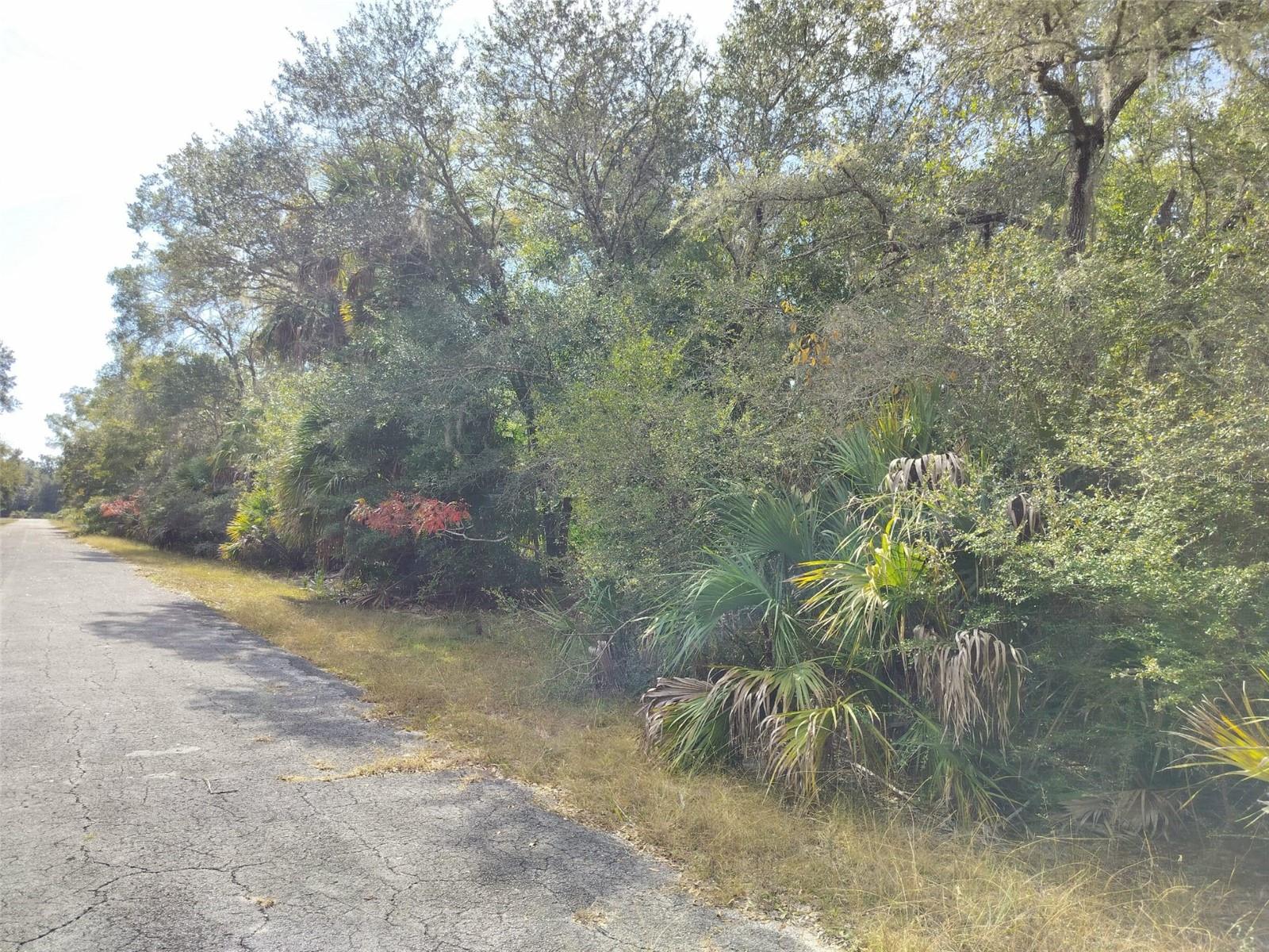 9999 N Snowball Pt Property Photo 17