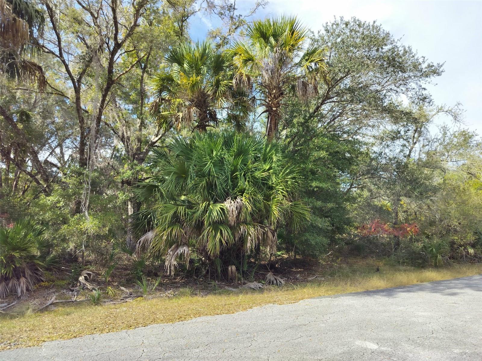 9999 N Snowball Pt Property Photo 18