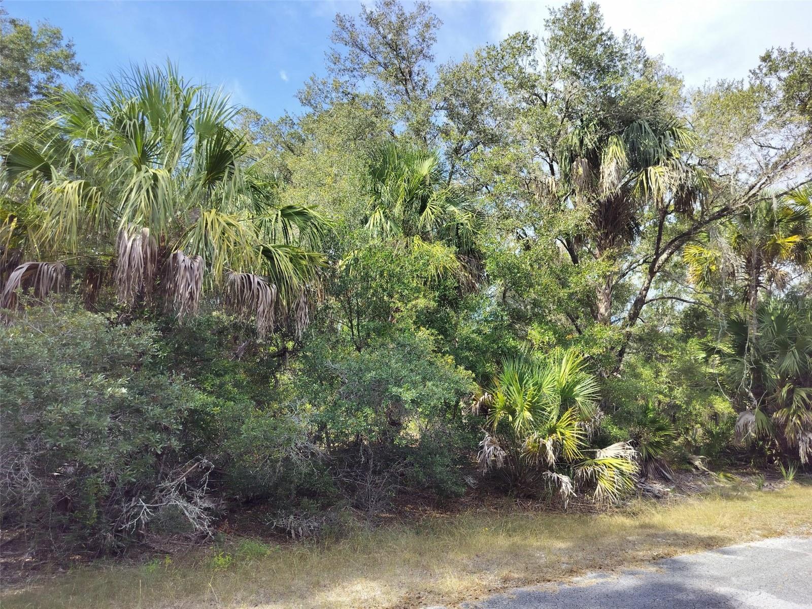 9999 N Snowball Pt Property Photo 19