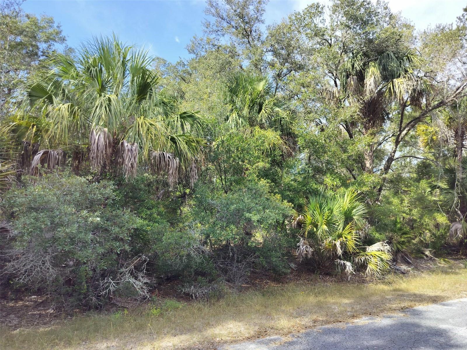 9999 N Snowball Pt Property Photo 21