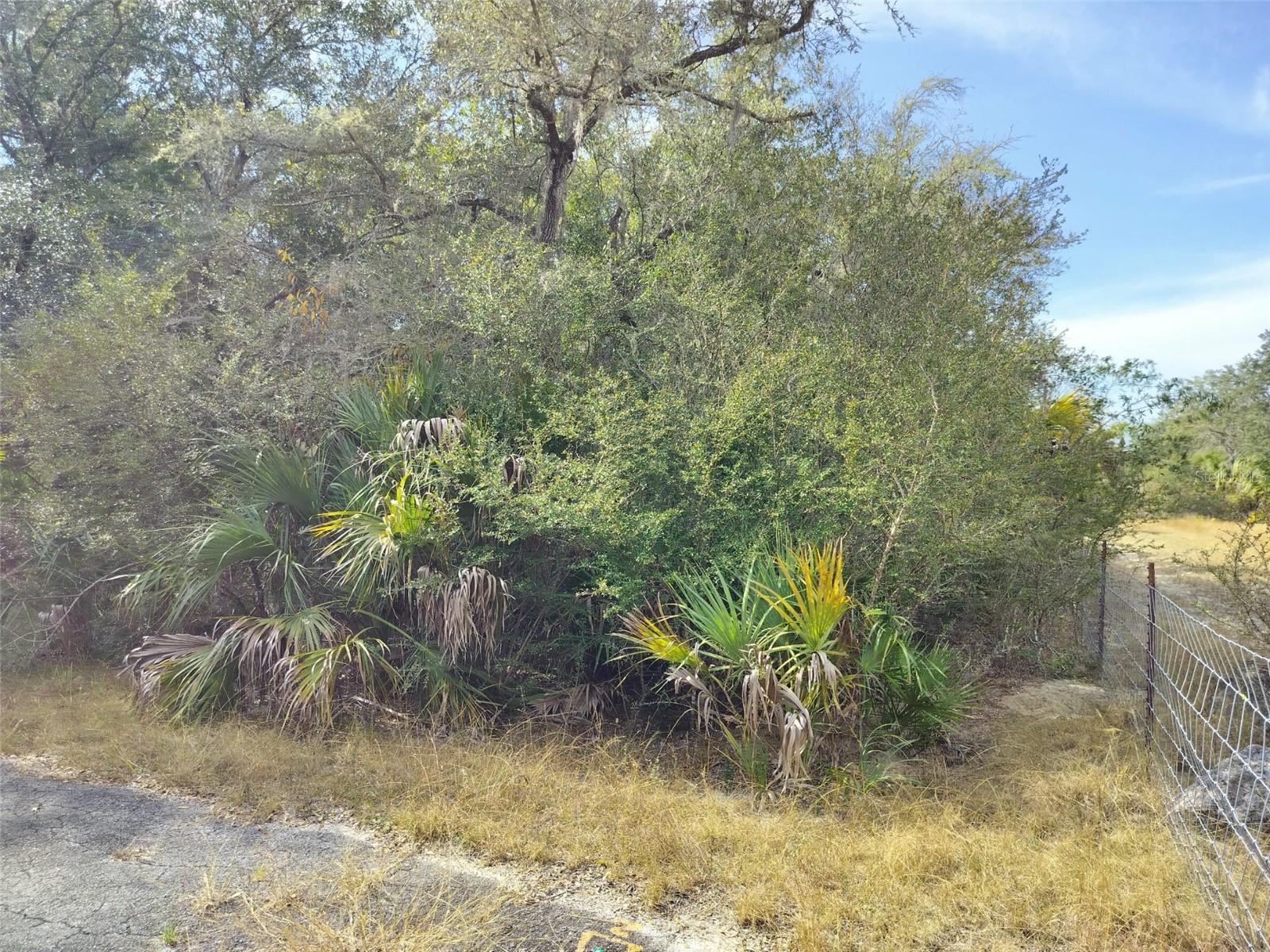 9999 N Snowball Pt Property Photo 23