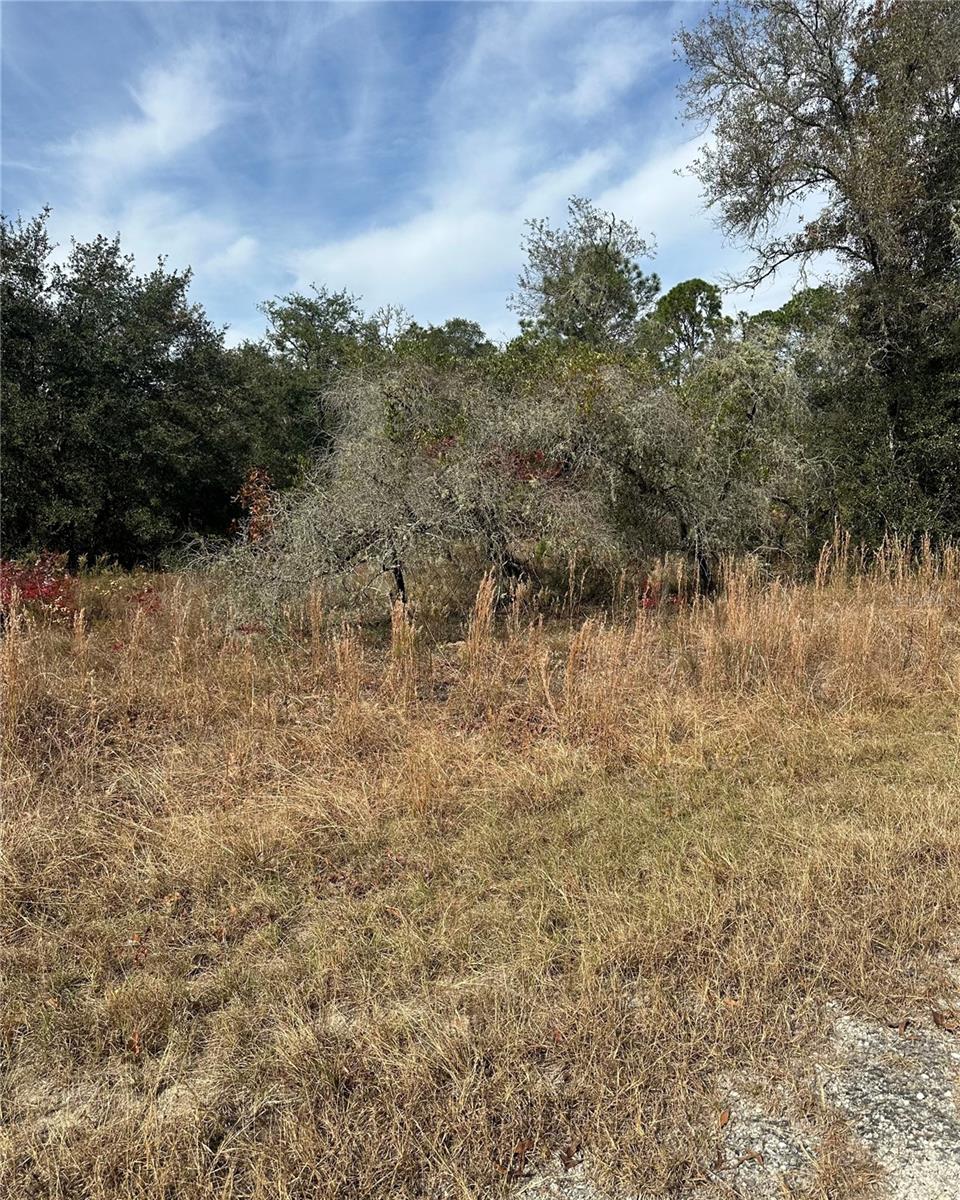 Lot 26 Se 133rd Ave Property Photo 5