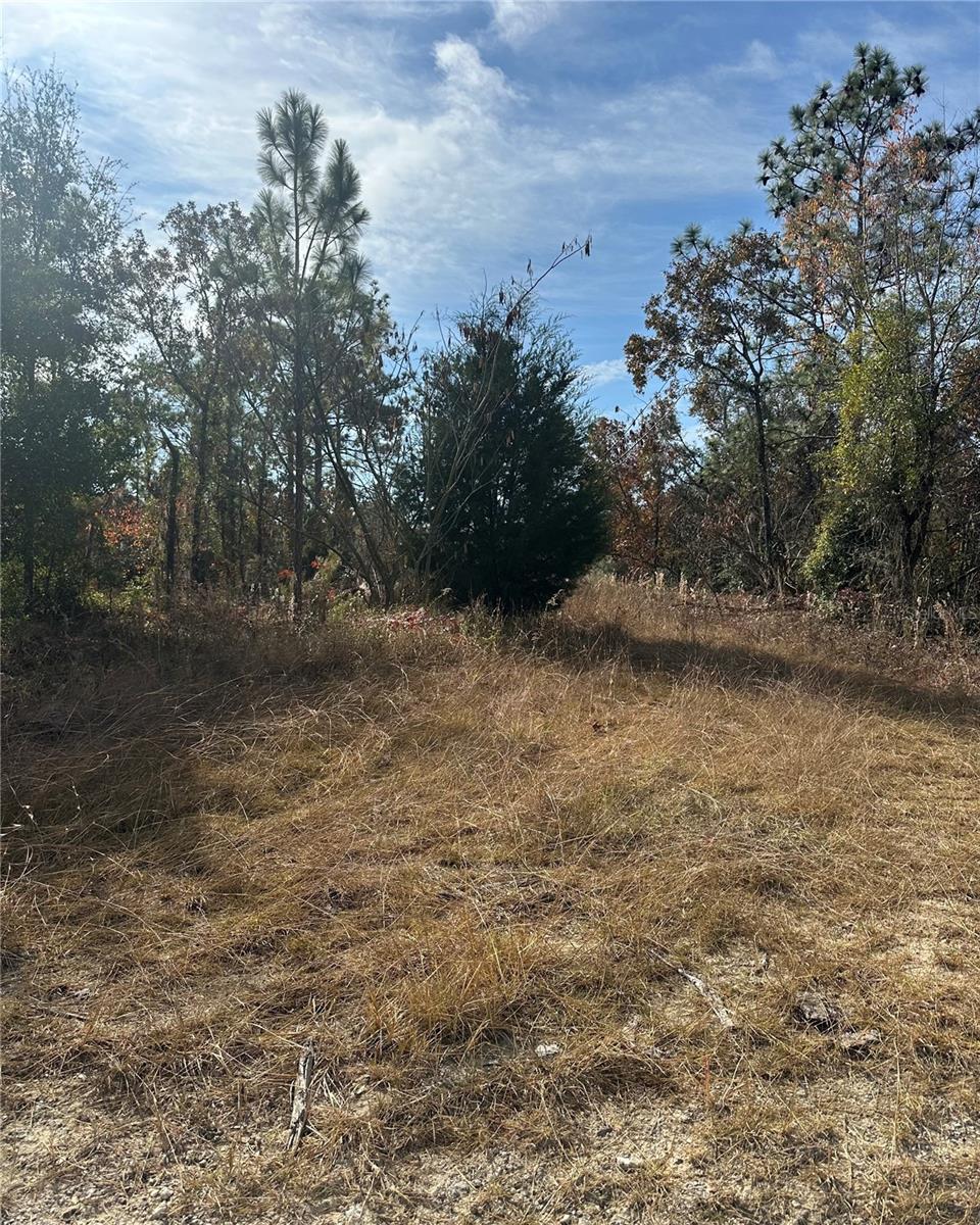 Lot 2 NE 151ST TER Property Photo 1
