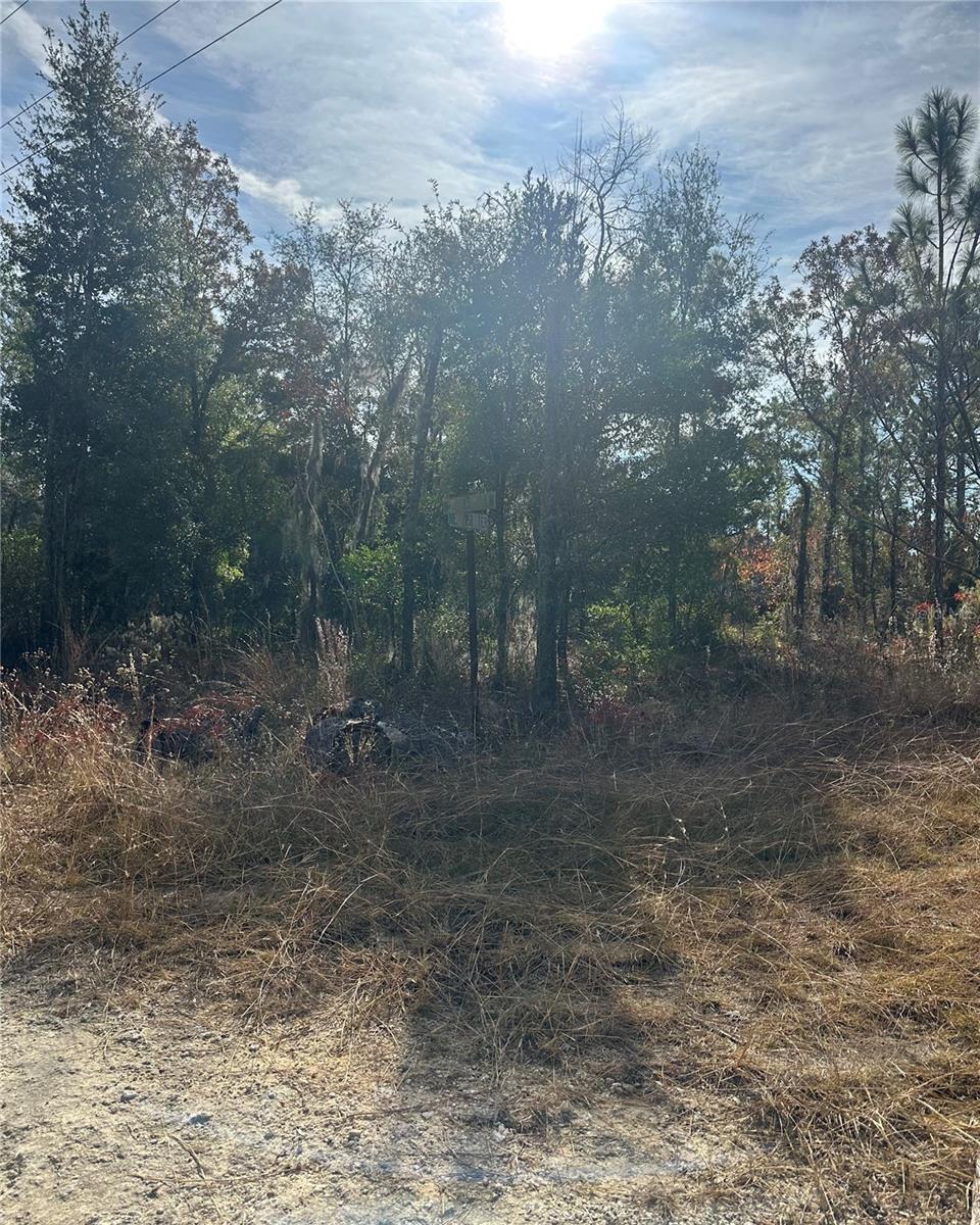 Lot 2 Ne 151st Ter Property Photo 2