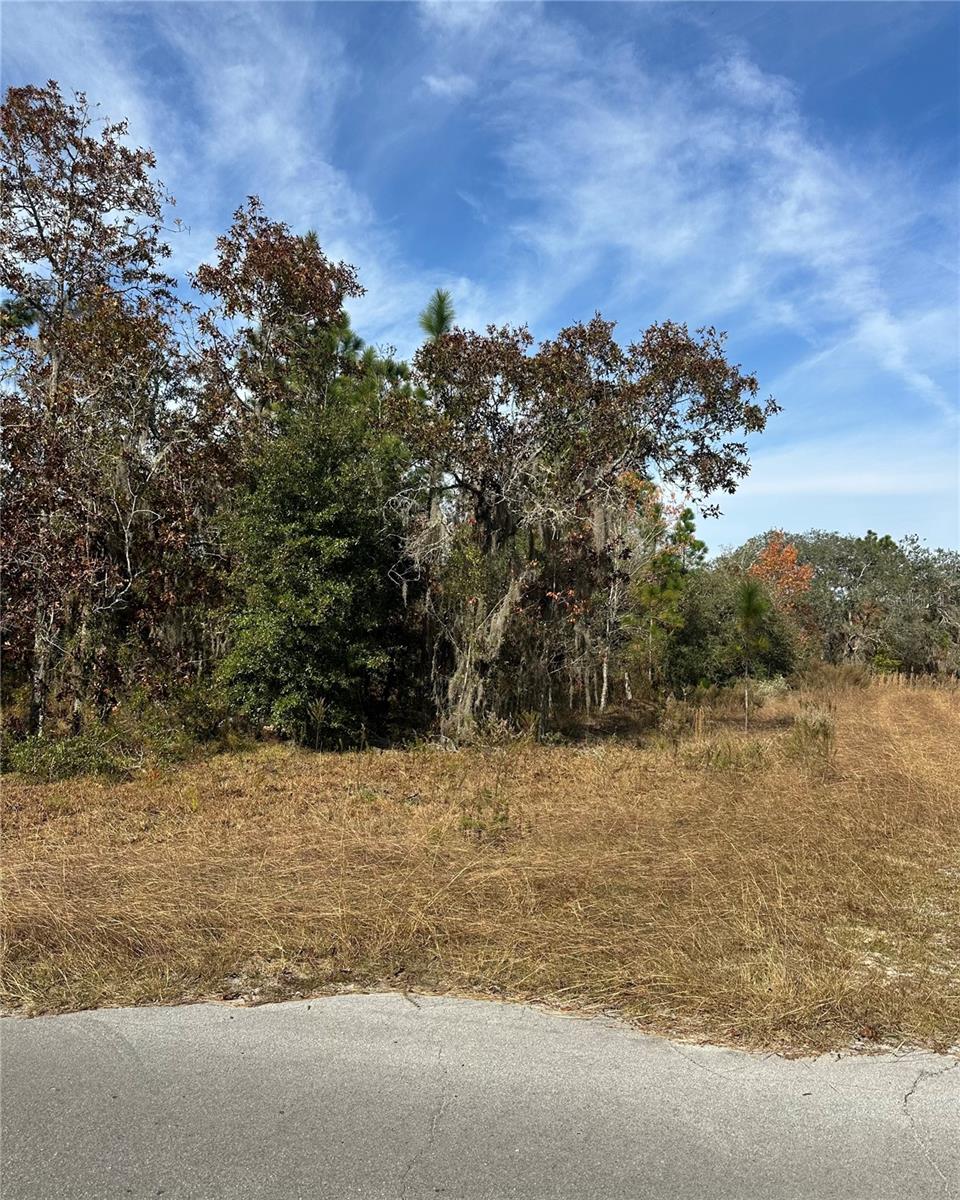 Lot 2 Ne 151st Ter Property Photo 3