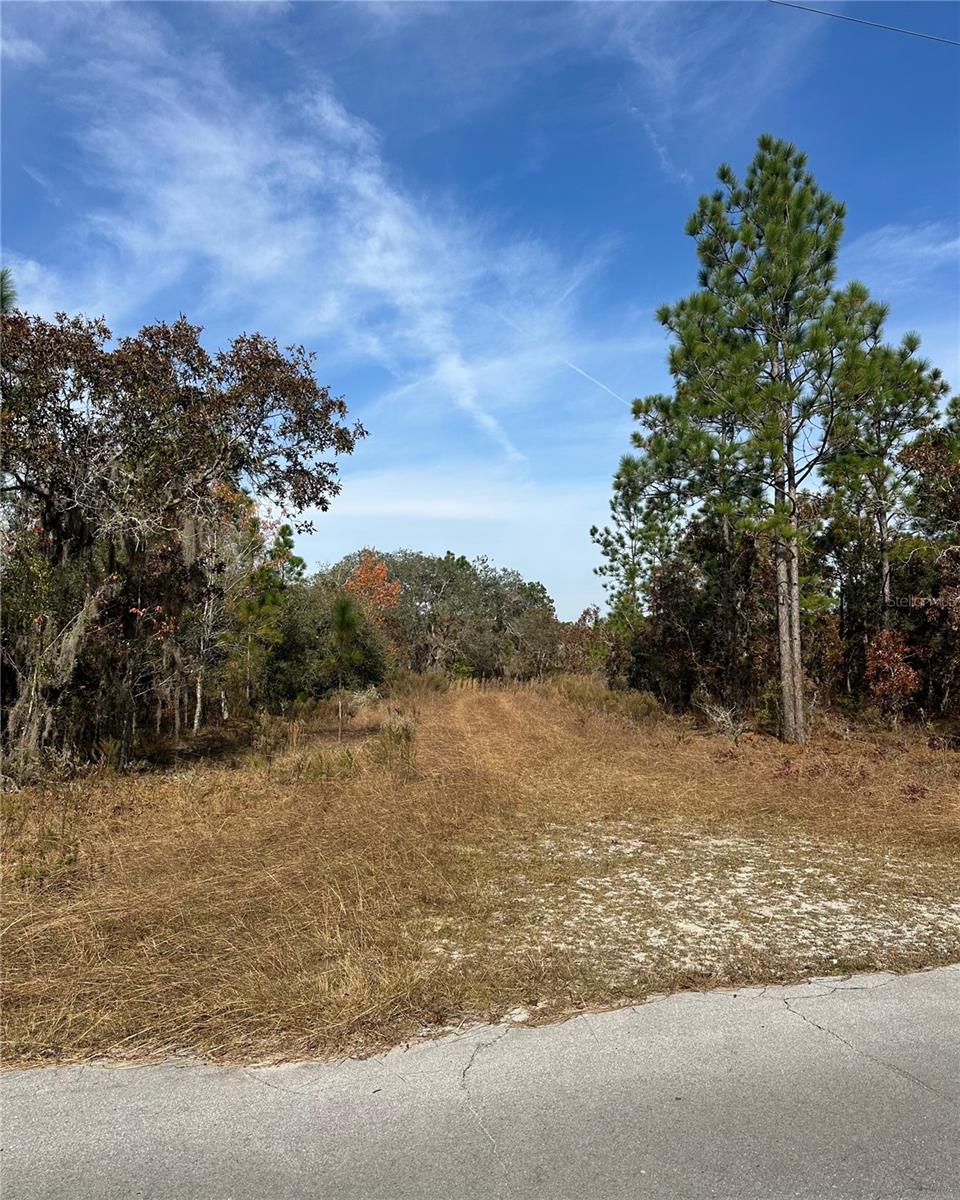 Lot 2 Ne 151st Ter Property Photo 5