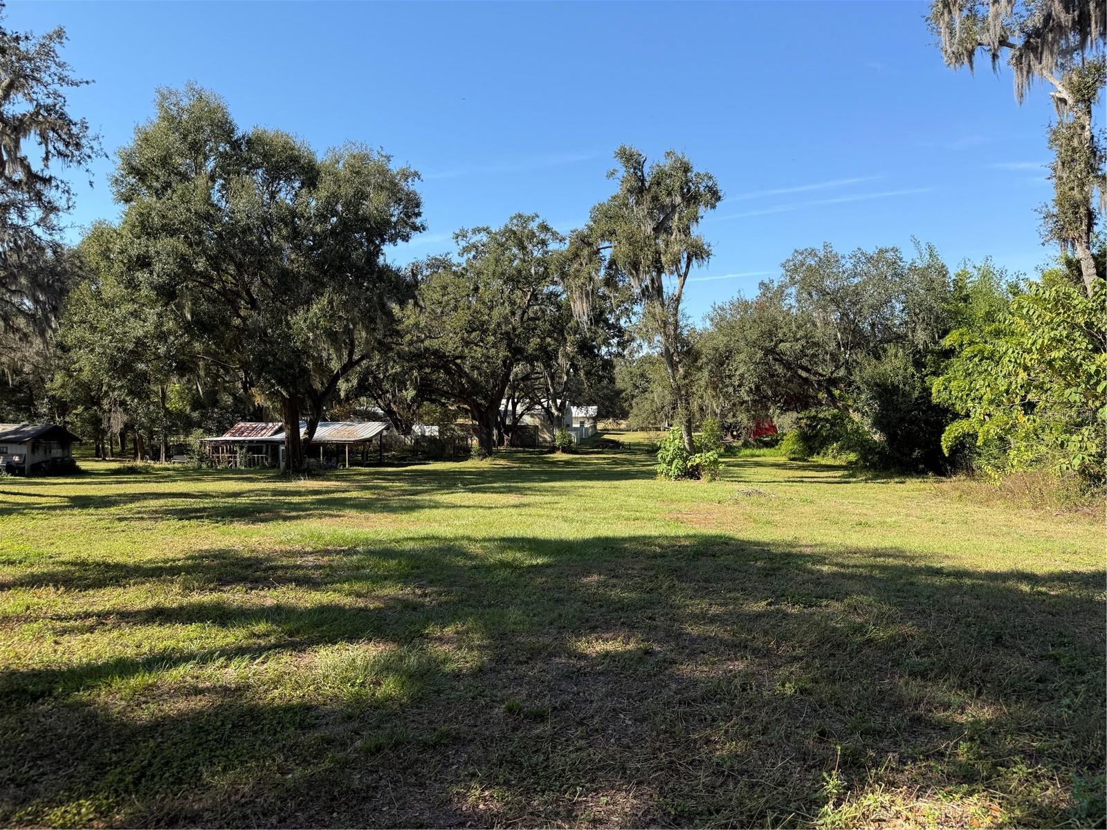 Tract 6 Woody Ln Property Photo 1