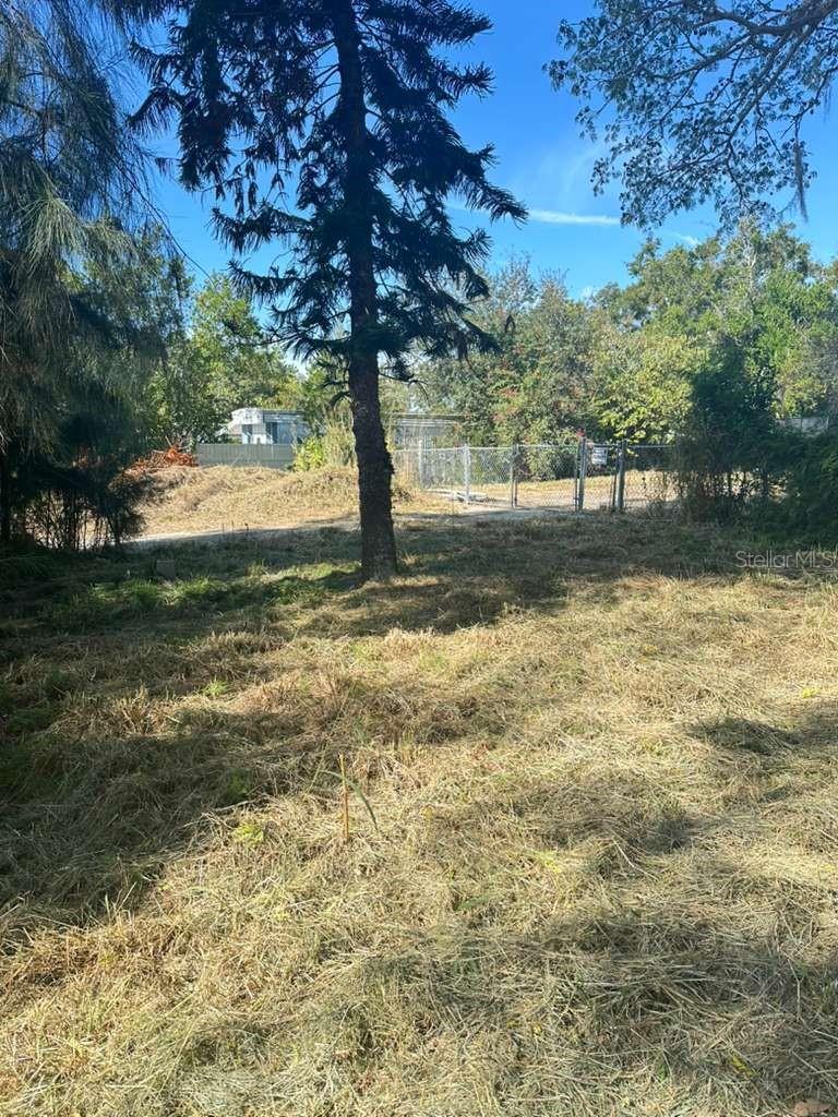 4637 Cottonwood Dr Property Photo 3