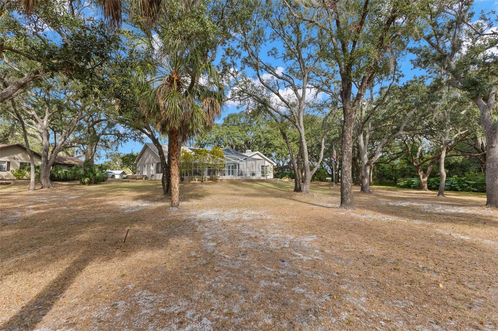 3734 Thornbush Ln Property Photo 4