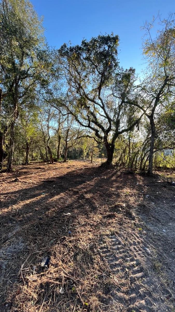 Hagar Drive Property Photo 2