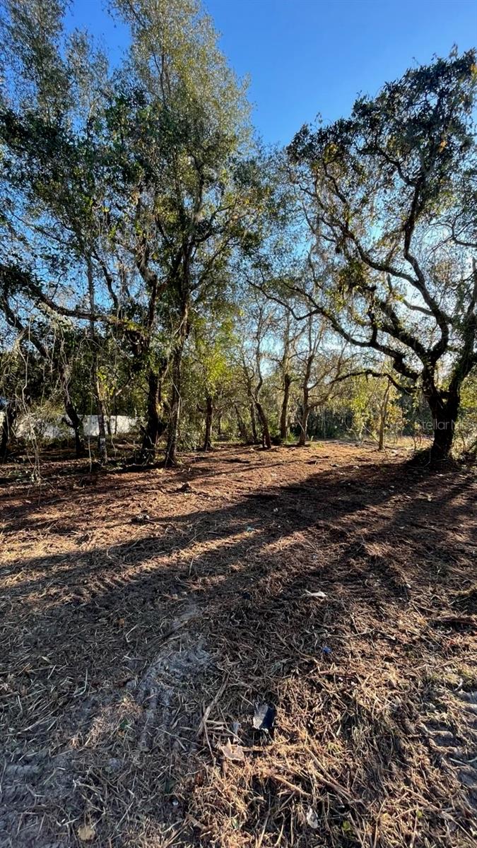 Hagar Drive Property Photo 3