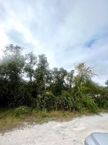 Hagar Drive Property Photo 10