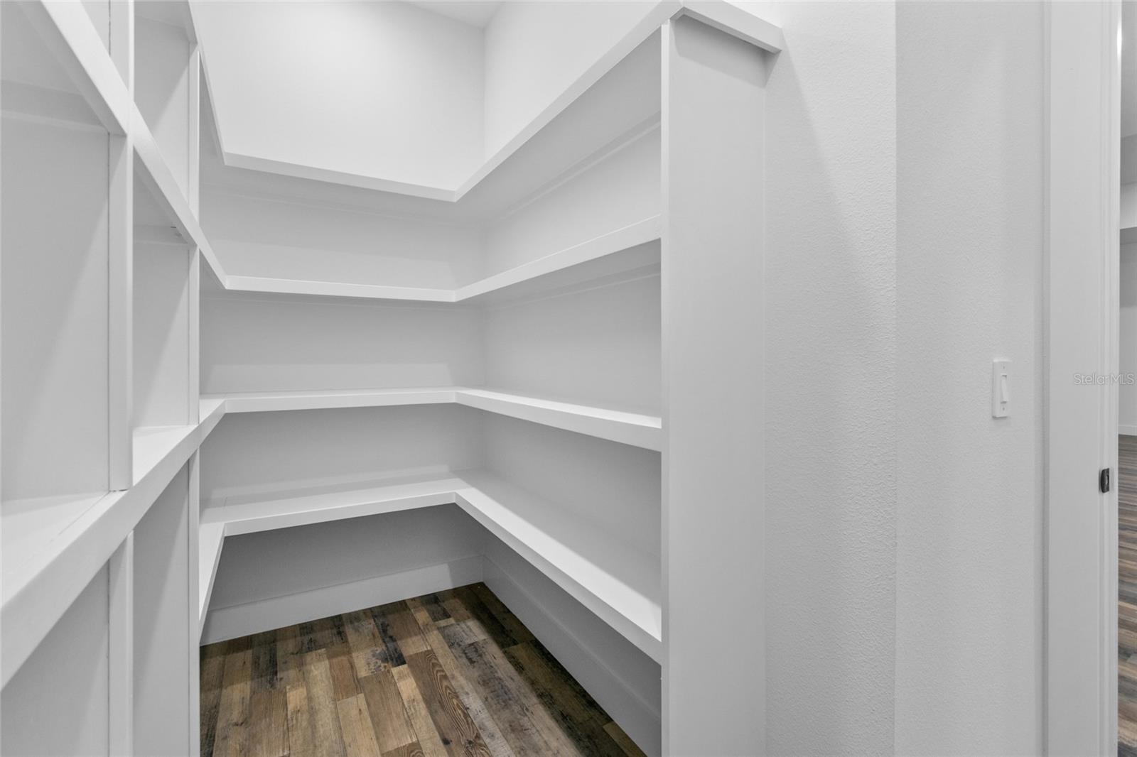 45 Vinca St Property Photo 17