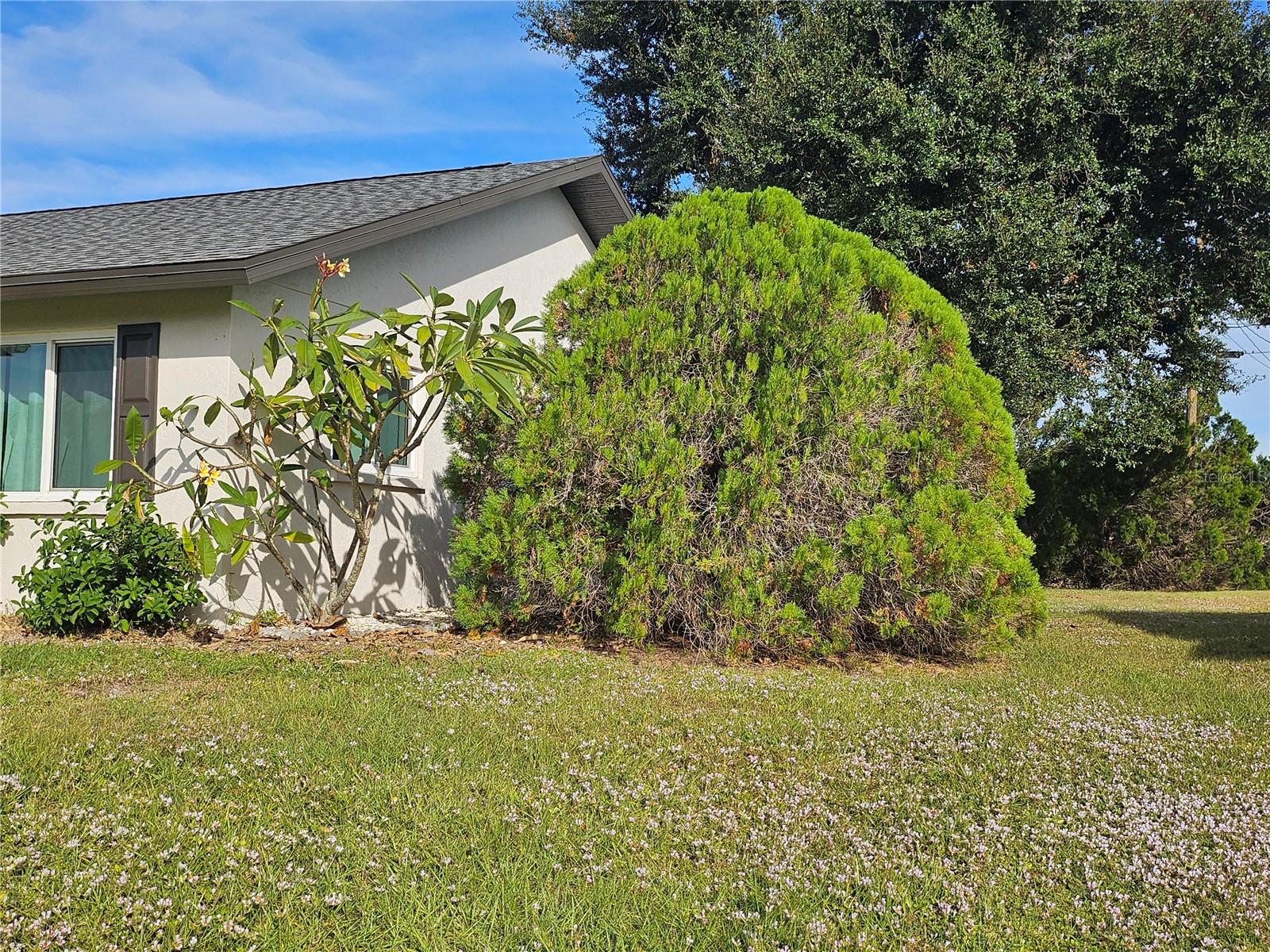 6224 Shasta St Property Photo 4