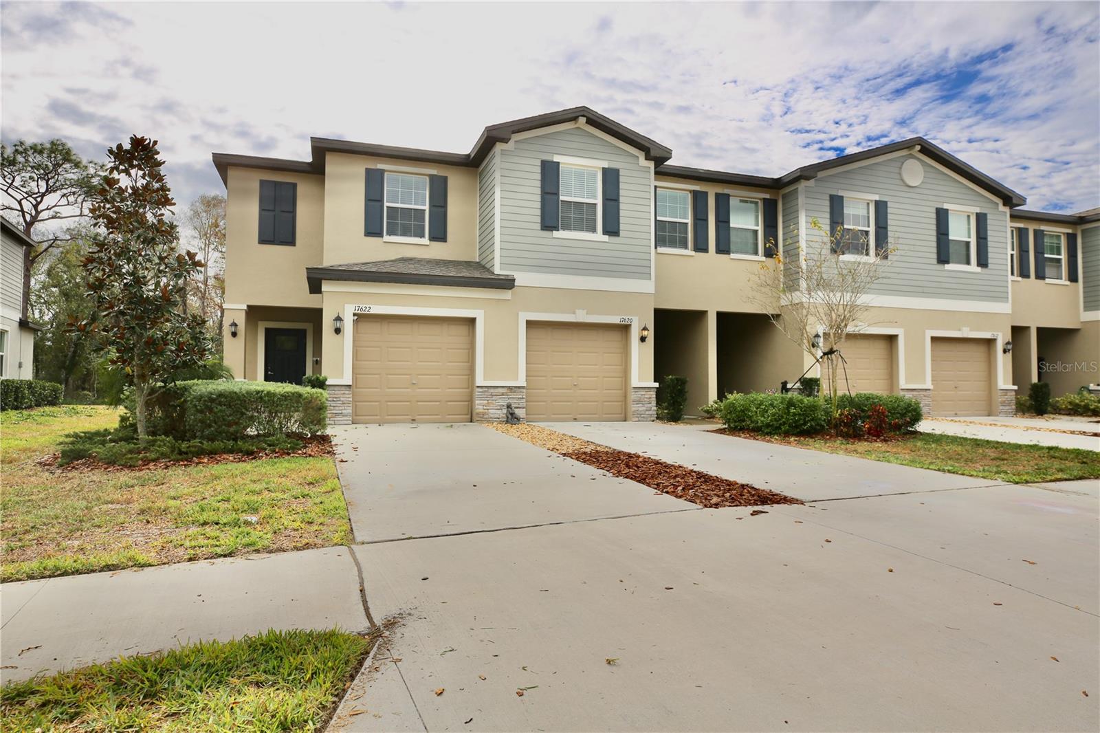 17620 Nectar Flume Dr Property Photo 2