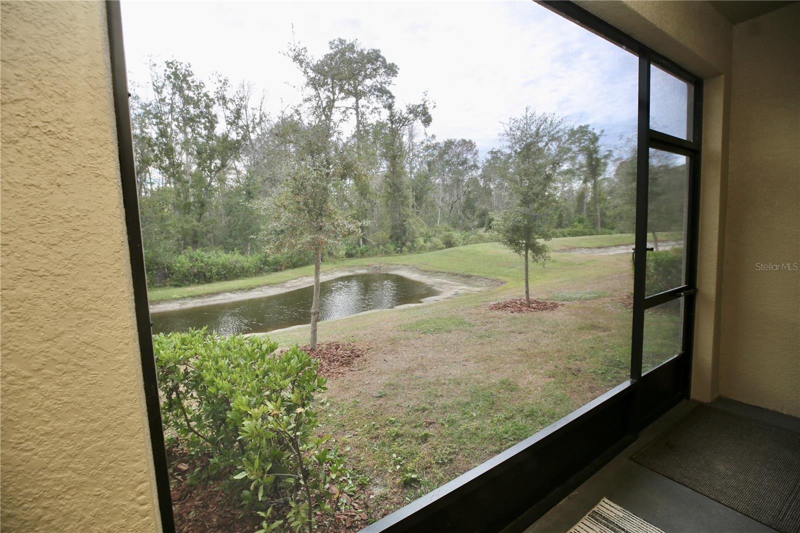 17620 Nectar Flume Dr Property Photo 18