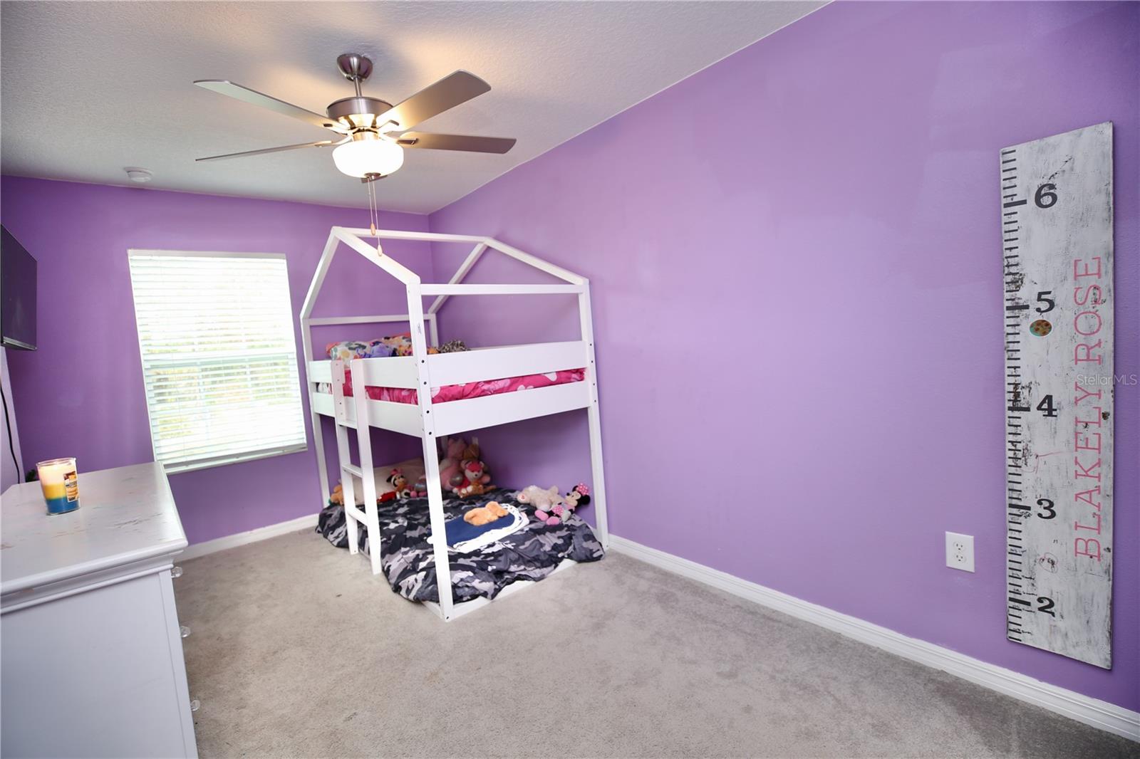 17620 Nectar Flume Dr Property Photo 19