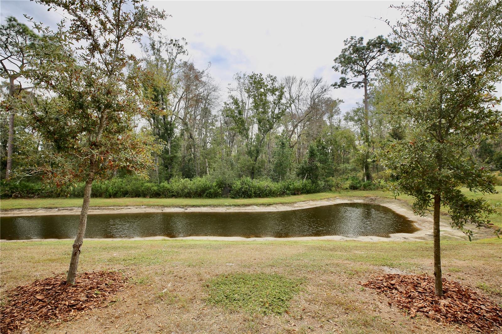 17620 Nectar Flume Dr Property Photo 33