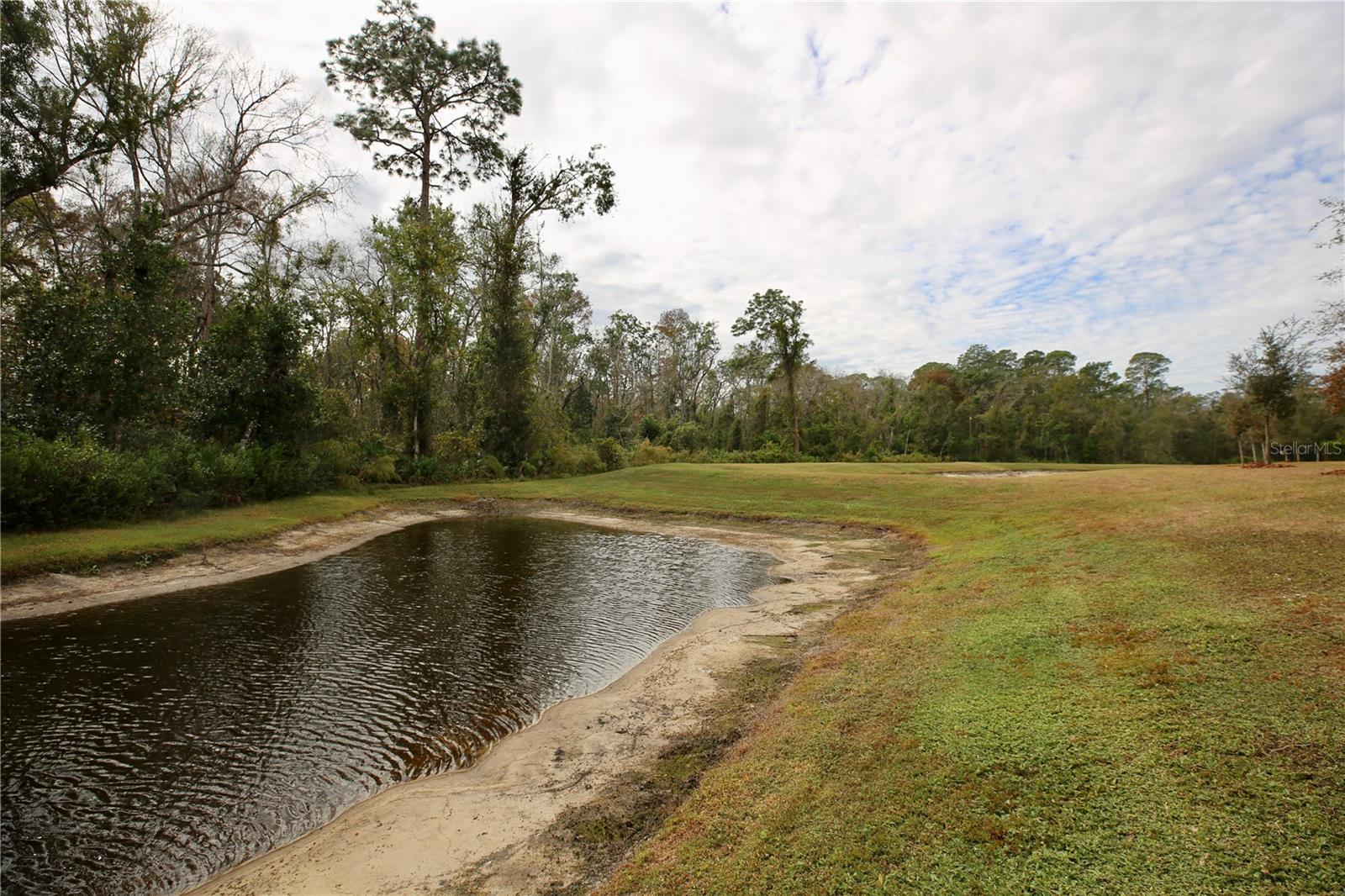 17620 Nectar Flume Dr Property Photo 35