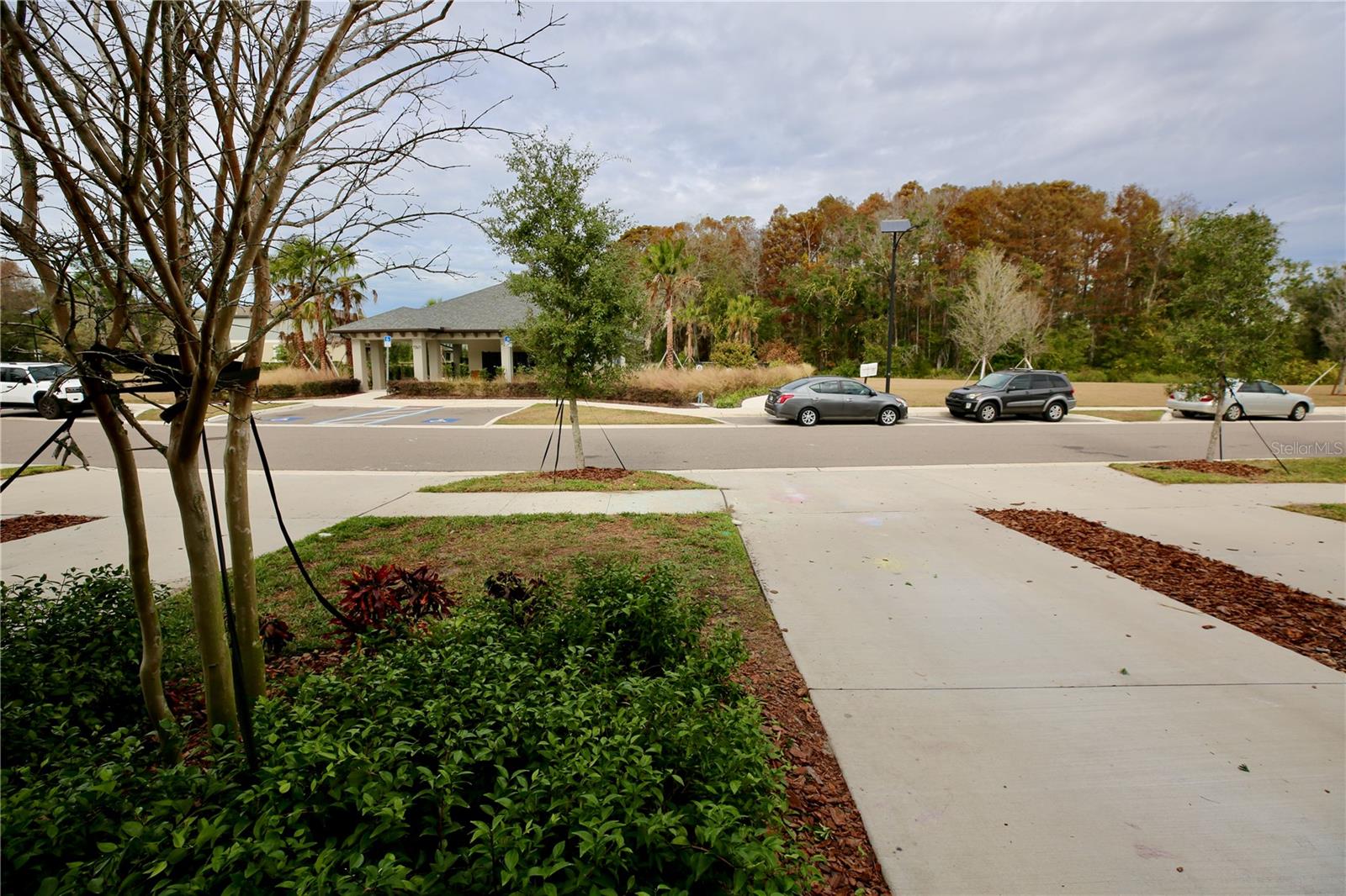 17620 Nectar Flume Dr Property Photo 36