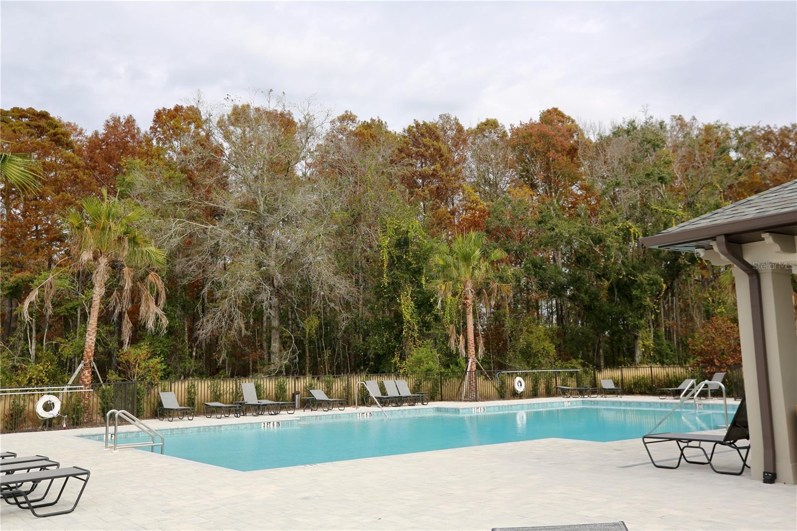 17620 Nectar Flume Dr Property Photo 39