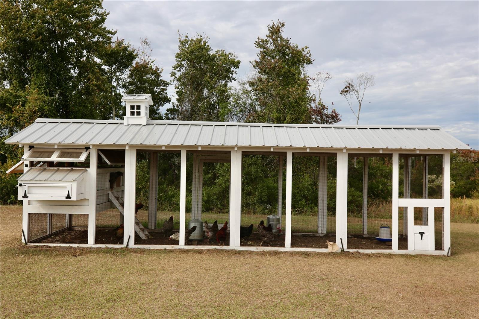 17620 Nectar Flume Dr Property Photo 53