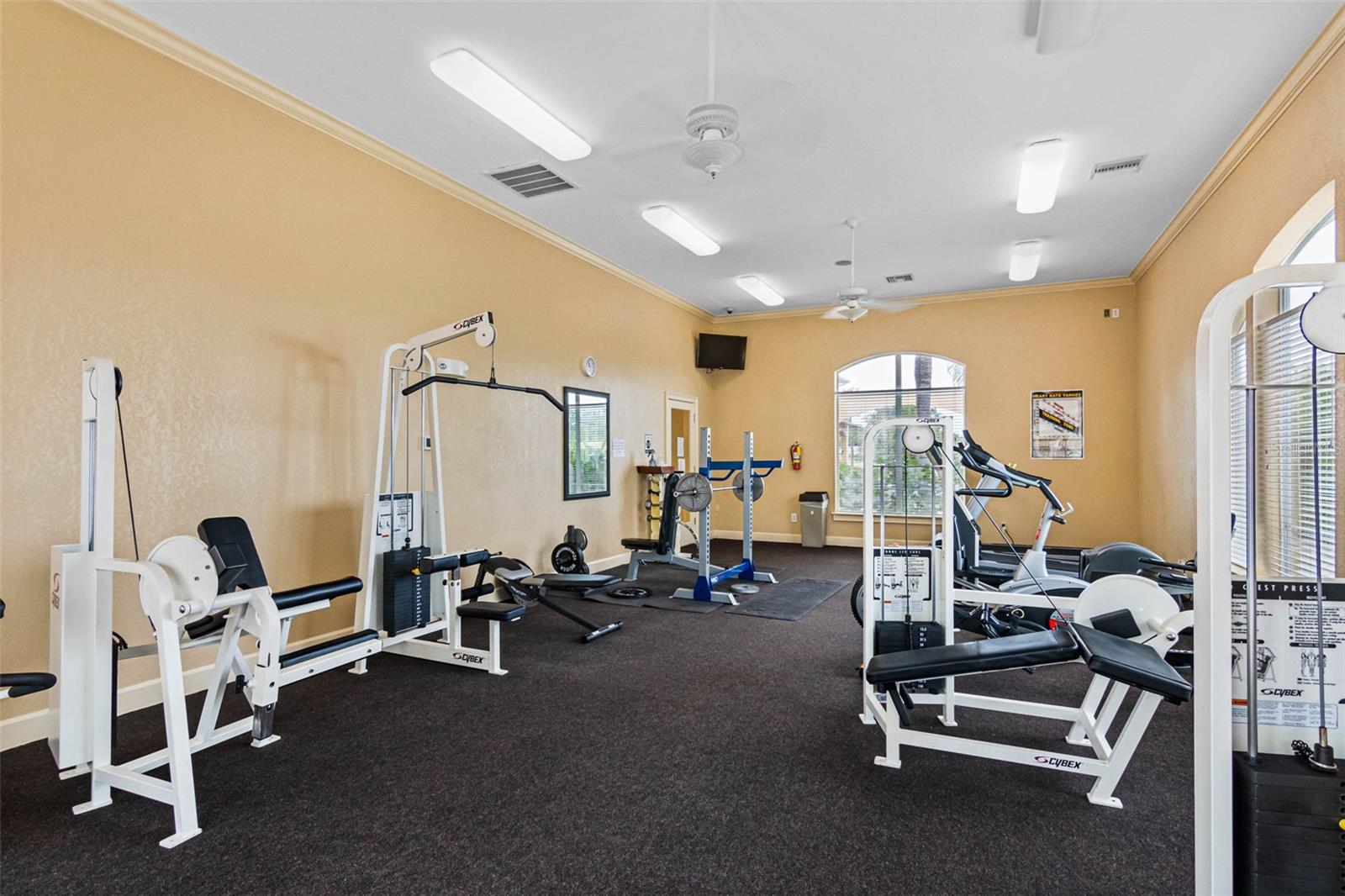 4345 Bayside Village Dr #302 Property Photo 64