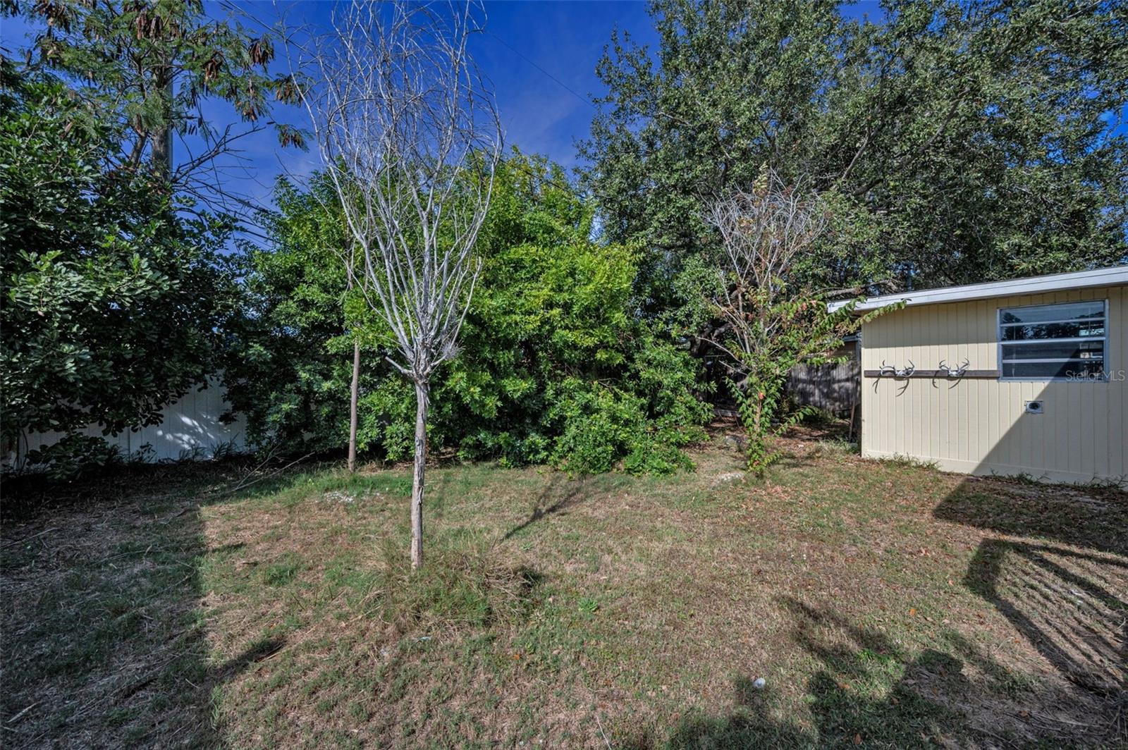 2476 Coronado Way Property Photo 26