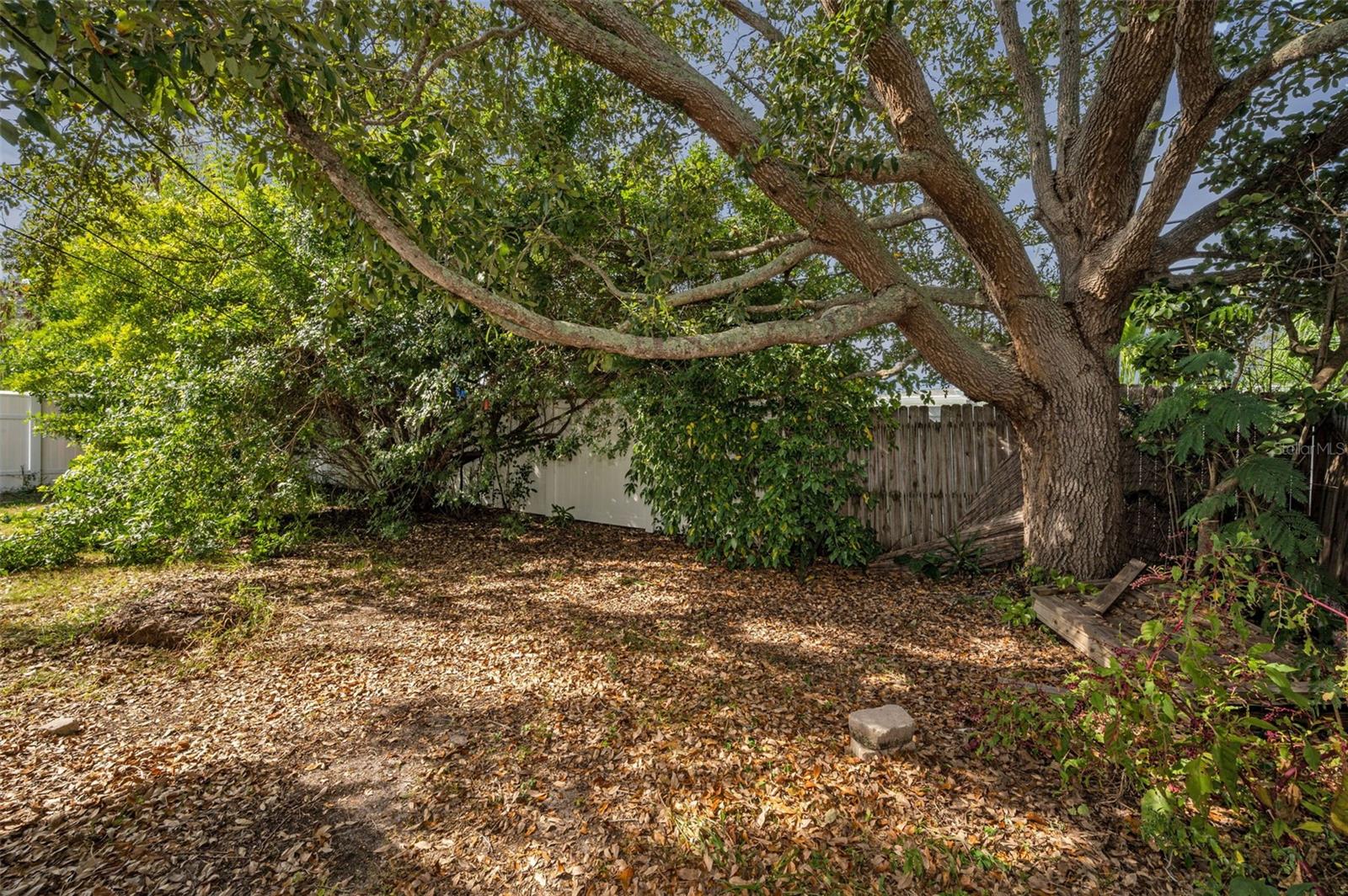 2476 Coronado Way Property Photo 30