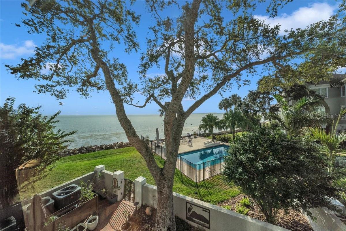 6212 BAYSHORE BLVD #K
