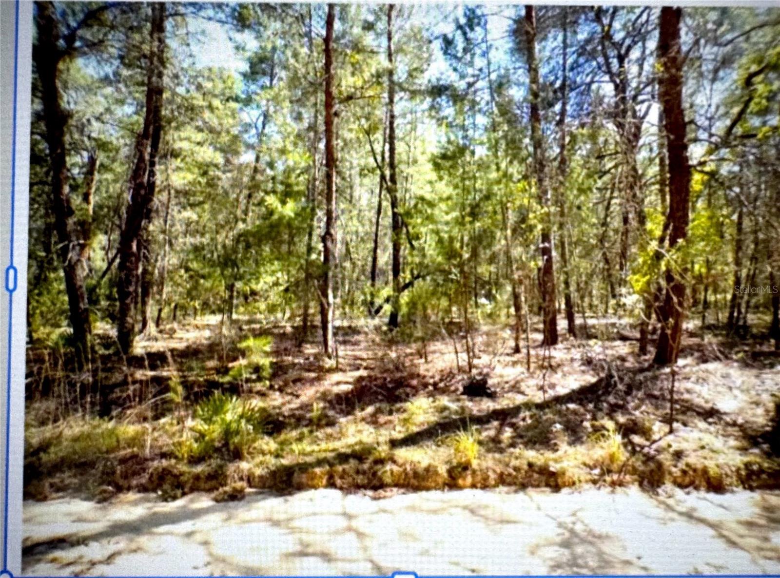 Old Bellamy Trl Property Photo 6