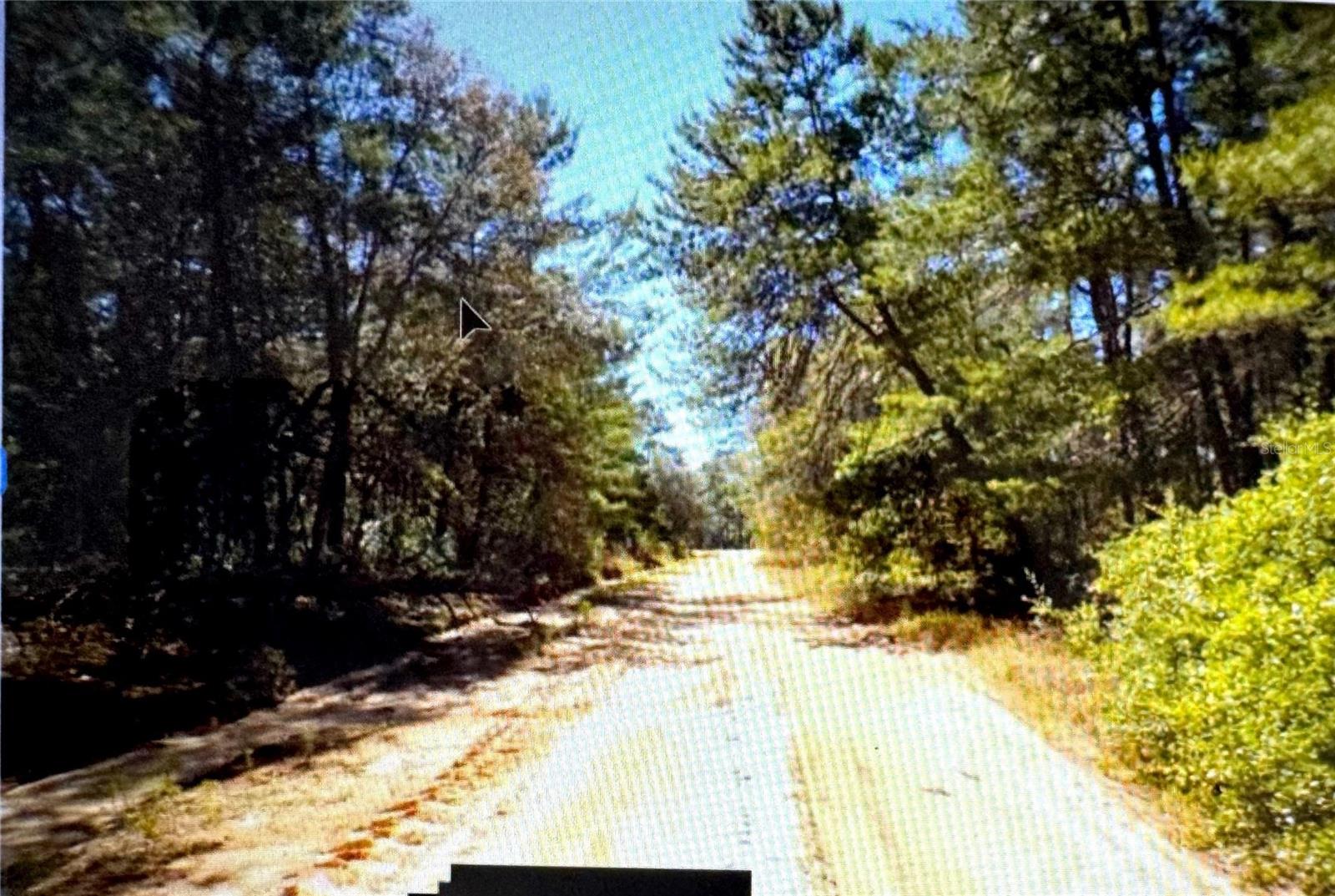 Old Bellamy Trl Property Photo 7
