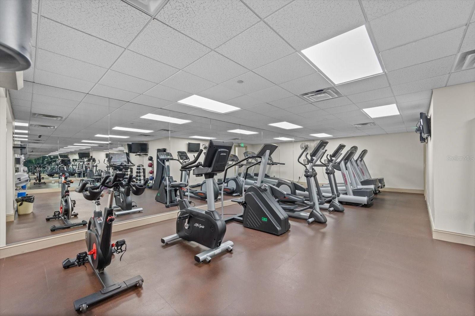 345 Bayshore Blvd #706 Property Photo 28