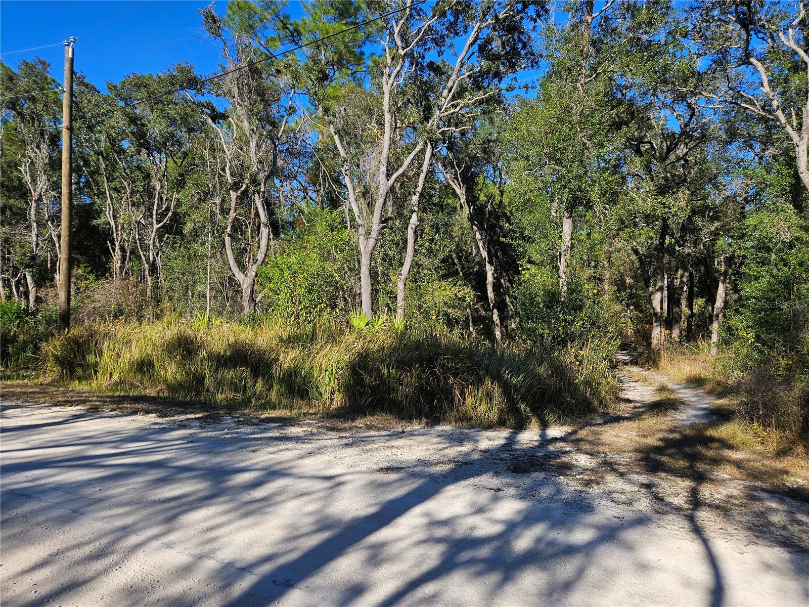 BERRYHILL DR