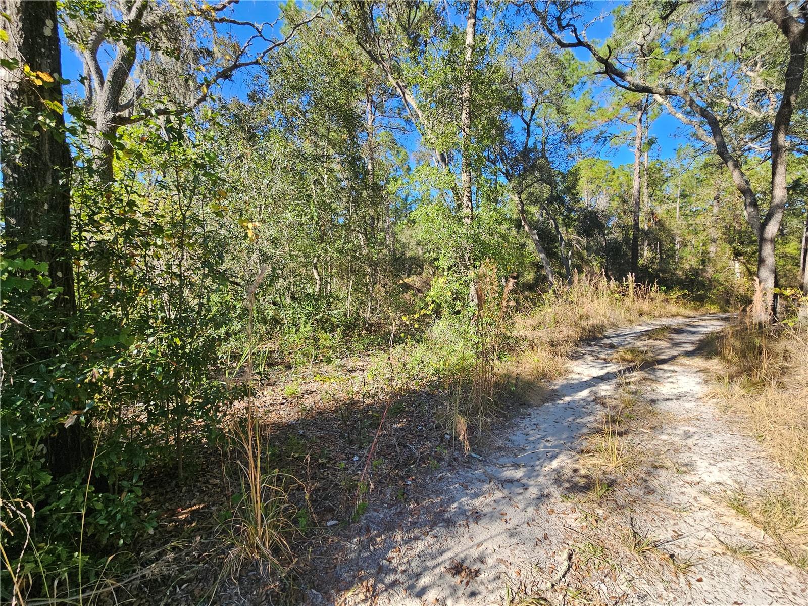 Berryhill Dr Property Photo 4